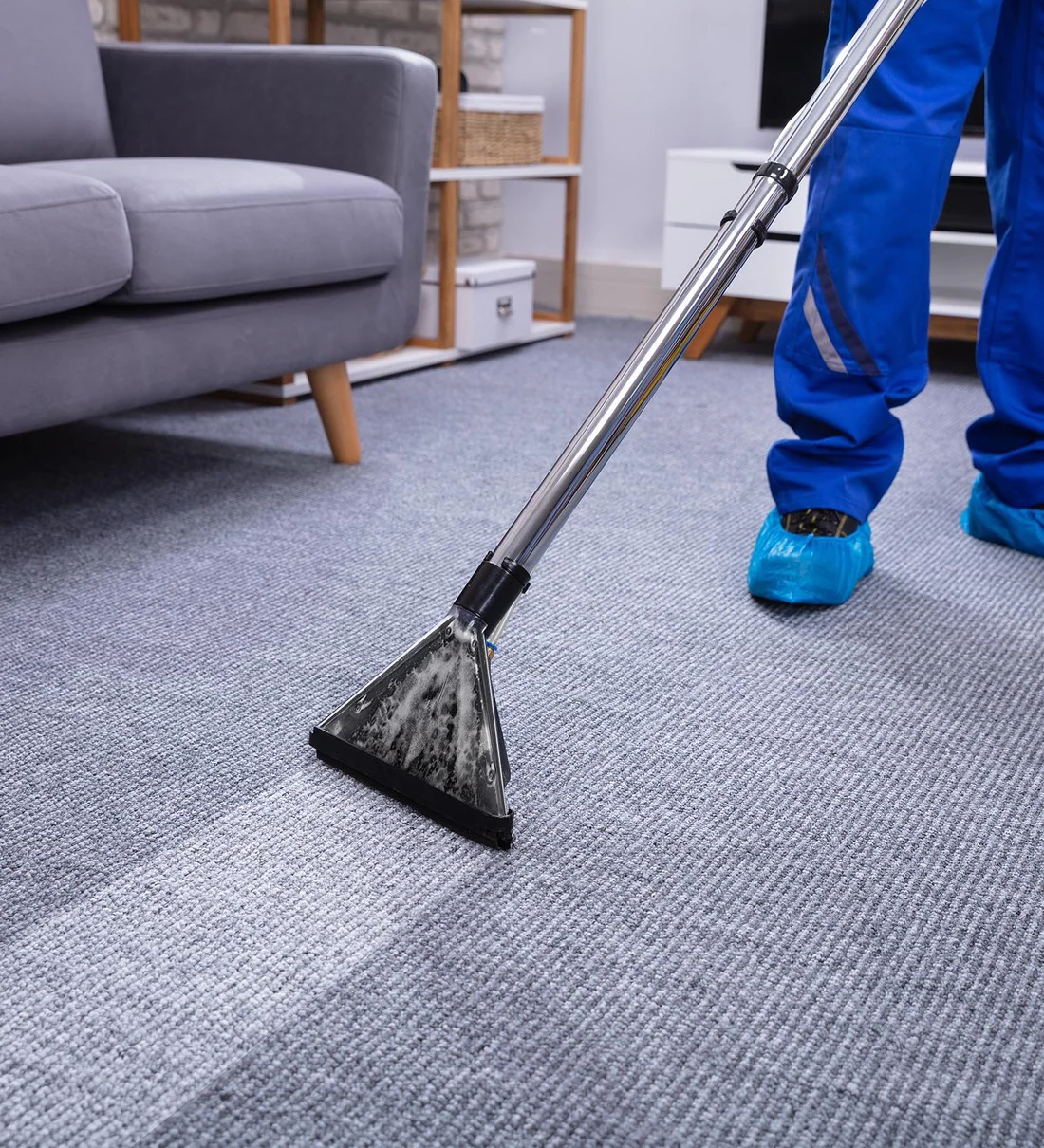 Carpet Cleaning